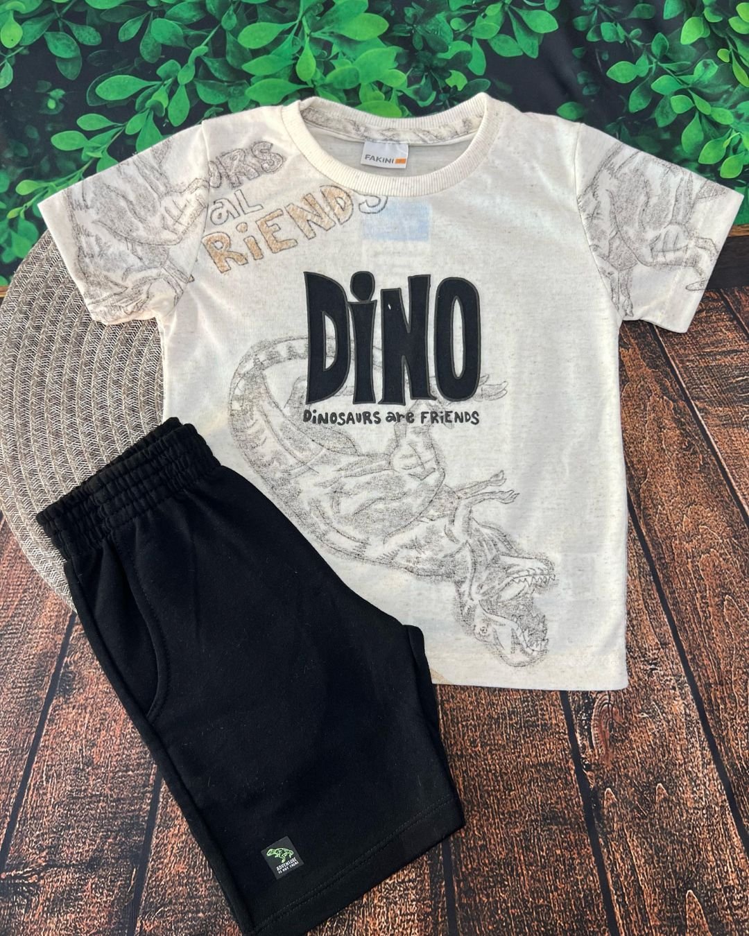 Conjunto Dino